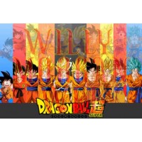 Dragon Ball Super 7